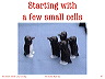 slide27