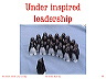 slide29