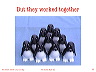 slide35