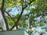 2003memwknd_441
