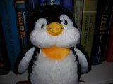 my-pet