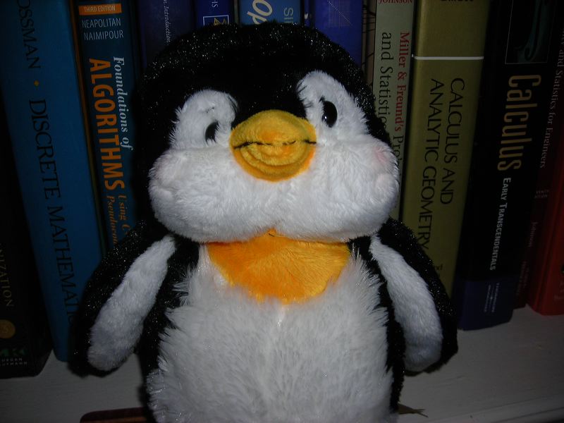 my-pet.jpg